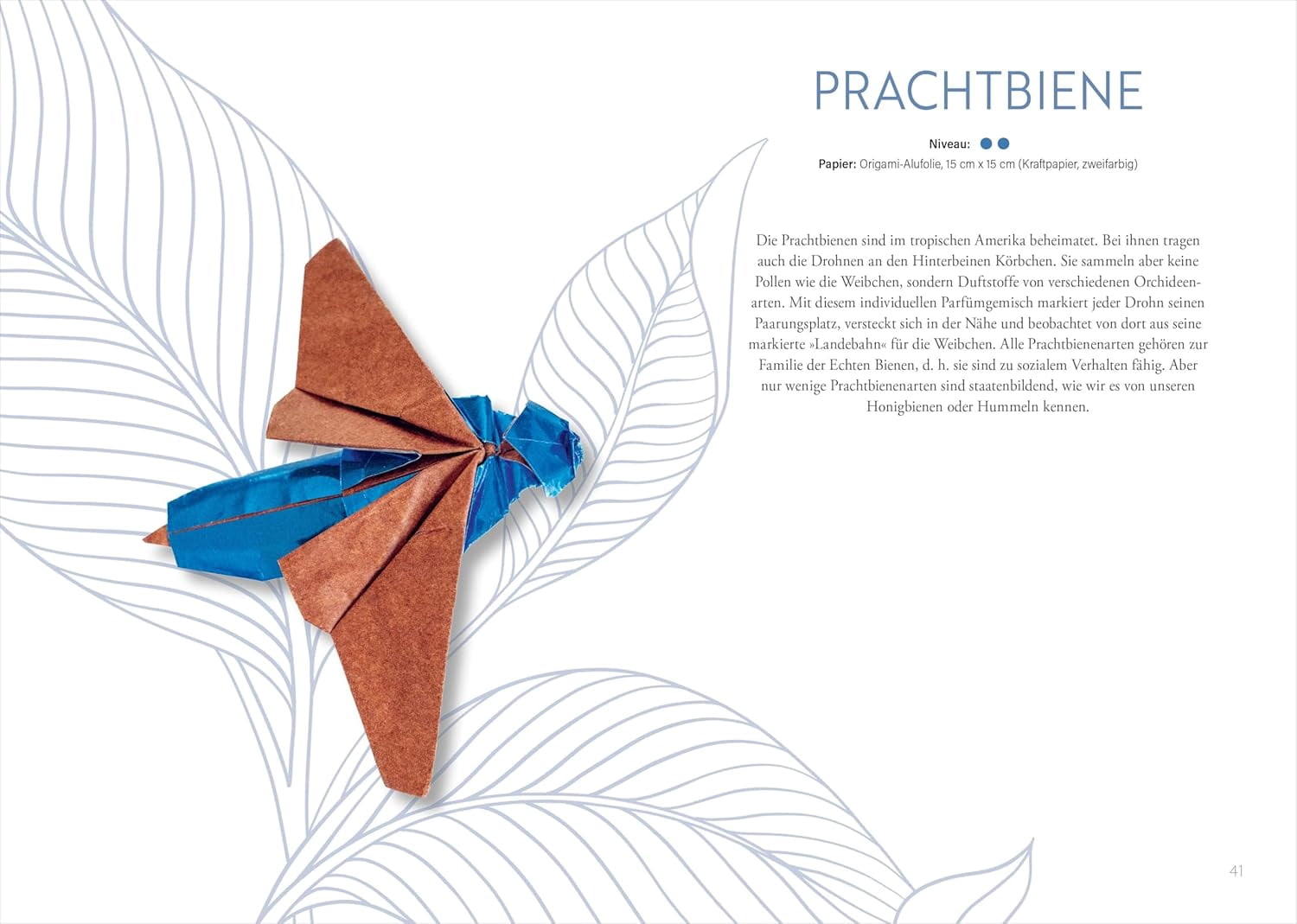 Jens-Helge Thülen- Origami: Bee, Bug und Butterfly: Zauberhafte Insekten zum Nachf (Paperback)