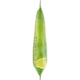 thumbnail image 6 of (2 pack) Late July Snacks Jalapeno Lime Tortilla Chips, 7.8 oz Bag, 6 of 9