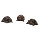 thumbnail image 2 of 3 elevadores para macetas, patas decorativas de resina para macetas, elevadores para macetas, animales Tortuga 6x3.8x2.8cm, 2 of 9
