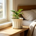 thumbnail image 2 of 9 Inch Flower Pot 1-Pack, Plastic Planter with Drainage Hole & Tray, Indoor Outdoor Plant Pot for House Plants, Garden, Patio, Office, Home Decor – Modern Decorative Plant Container (Yellow), 2 of 6