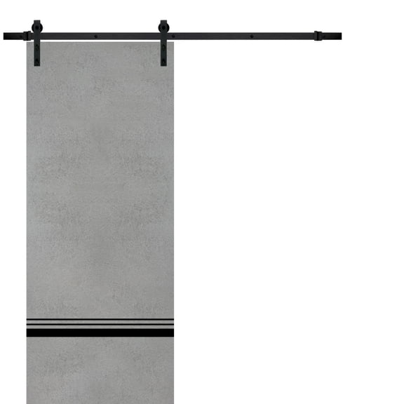Sturdy Barn Door 18 x 80 inches | Planum 0012 Concrete with Frosted Glass | 6.6FT Rail Hangers Heavy Hardware Set | Solid Panel Interior Doors