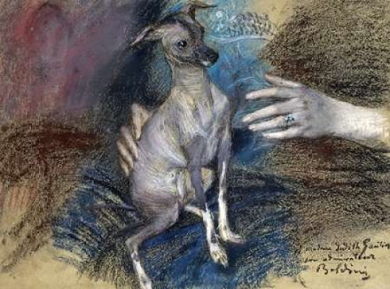 Elegante Au Chien C