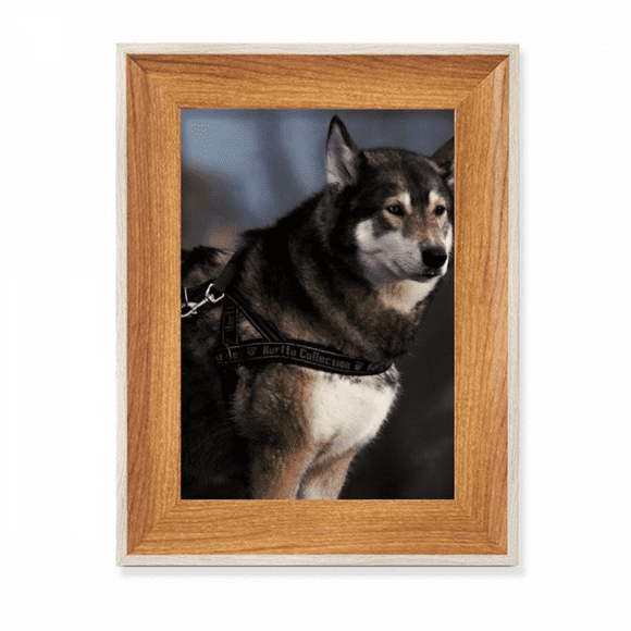 dog husky animal lly night desktop wooden photo frame display picture art painting multiple sets