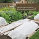 thumbnail image 5 of Xihbxyly Ofertas Por Tiempo Limitado Hoy Cubiertas de Tela No Tejida para Jardinería, Protección de Plantas, Manta Antiheladas, 5 of 7