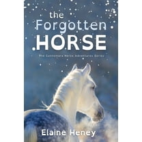 Connemara Horse Adventure The Forgotten Horse - Dyslexia Friendly, Book 1, (Paperback)