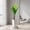 Bird of Paradise Tree 4.8FT, variant on Artificial Potted Tree, Realistic Faux Indoor Plant with Bendable Boughs for Home Décor - Perfect for Living Room, Office, Dining Room Decor, Garden