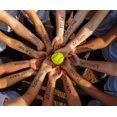 thumbnail image 3 of Softball Headbands - Stitching Seam Fast Pitch Stretch Elastic Sport And Fashion Headband, 3 of 5