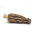 thumbnail image 4 of Slofoodgroup Whole Dried Morel Mushrooms | Wild Gourmet Morchellas Conica | Umami Flavor - 15 pieces, 4 of 5