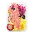 thumbnail image 1 of TIELUTT 1 Vraie Fleur Séchée Garnitures en Résine Fleurs en Pot Fleurs d'Automne Fleur Suspendue pour Extérieur Choux Roses Fleurs Fleurs pour Extérieur, 1 of 6