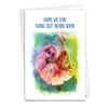 1 Get Well Card with Envelope - Funky Rainbow Sloth C6866AGWG