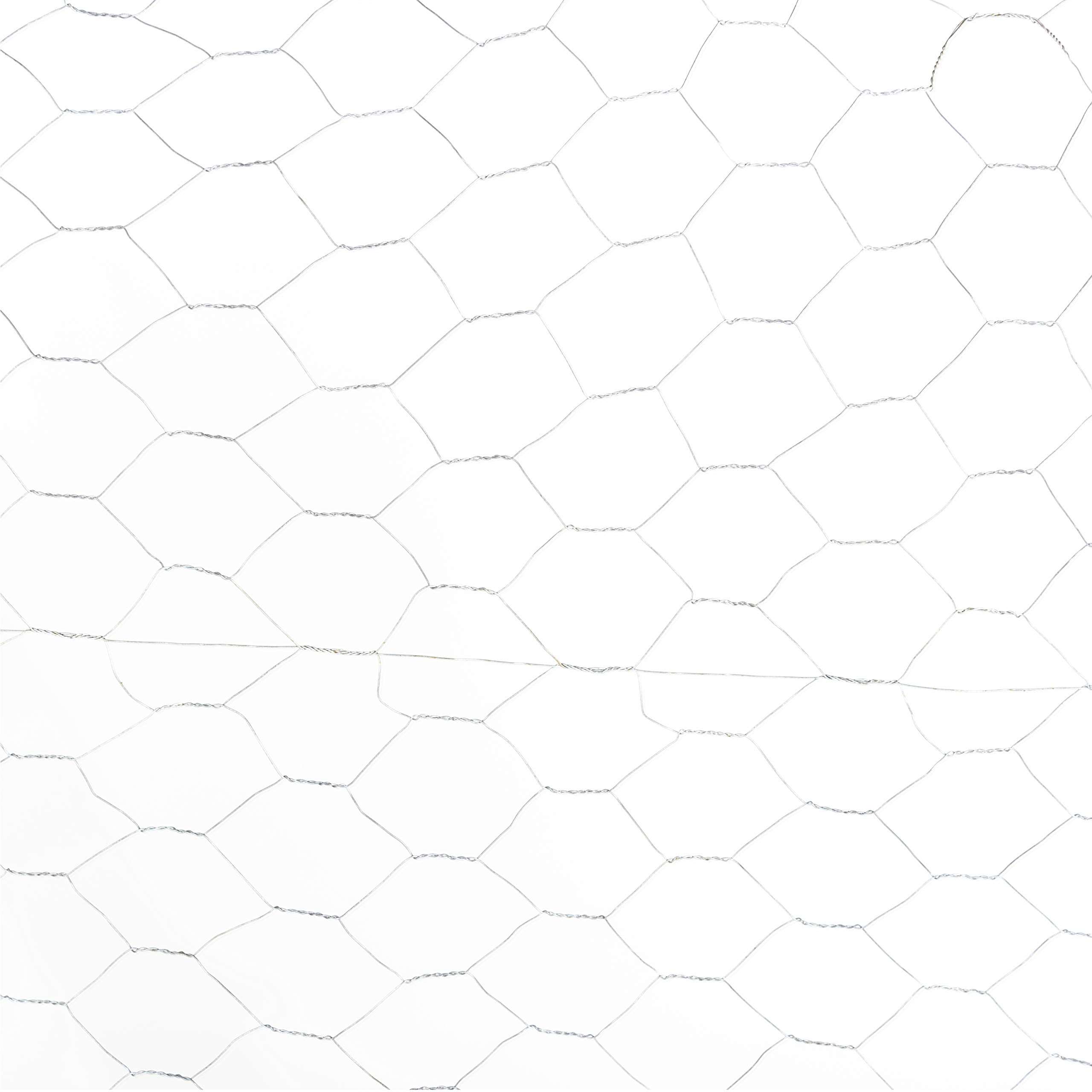 Fencer Wire 20 Gauge Galvanized Poultry Hex Netting with 2 inch Mesh