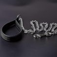thumbnail image 4 of Metal Dog Chain With Padded Handle Chew Resistant Dog Chain, 4 of 5