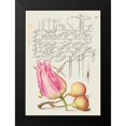 thumbnail image 2 of Hoefnagel, Bocskay 14x18 Black Modern Framed Museum Art Print Titled - From the Model Book of Calligraphy-VII, 2 of 5