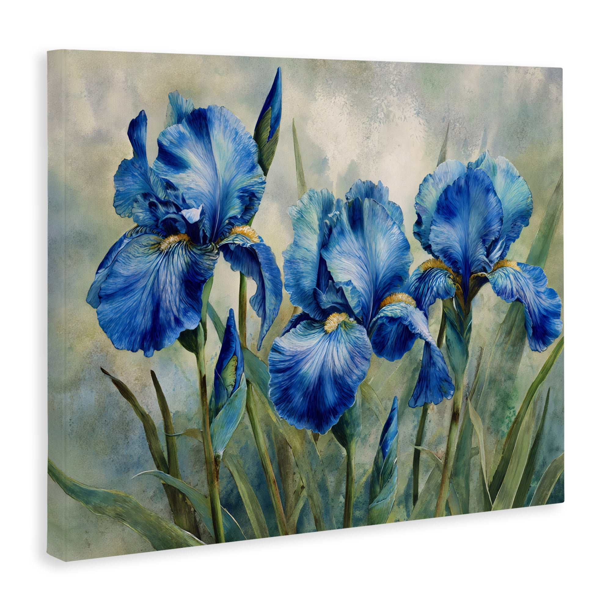 Stupell Industries Drawn Blue Iris Flowers Canvas Wall Art, design by Franklyn Gregory