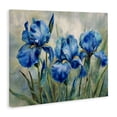 thumbnail image 2 of Stupell Industries French Country Drawn Blue Iris Flowers Canvas Art, 20 x 16, by Franklyn Gregory, 2 of 8