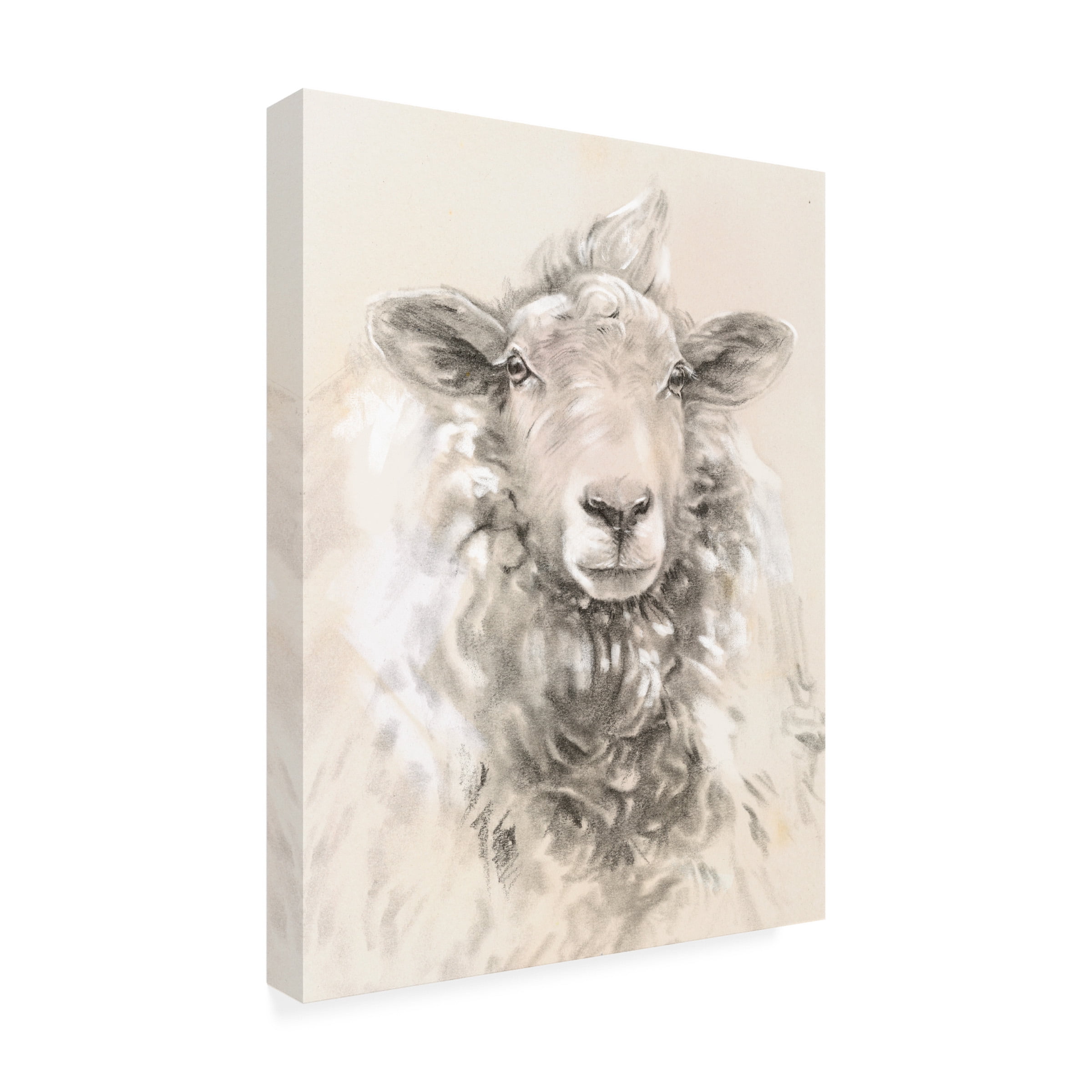 Jennifer Paxton Parker 'Sketched Farm Portraits I' Canvas Art
