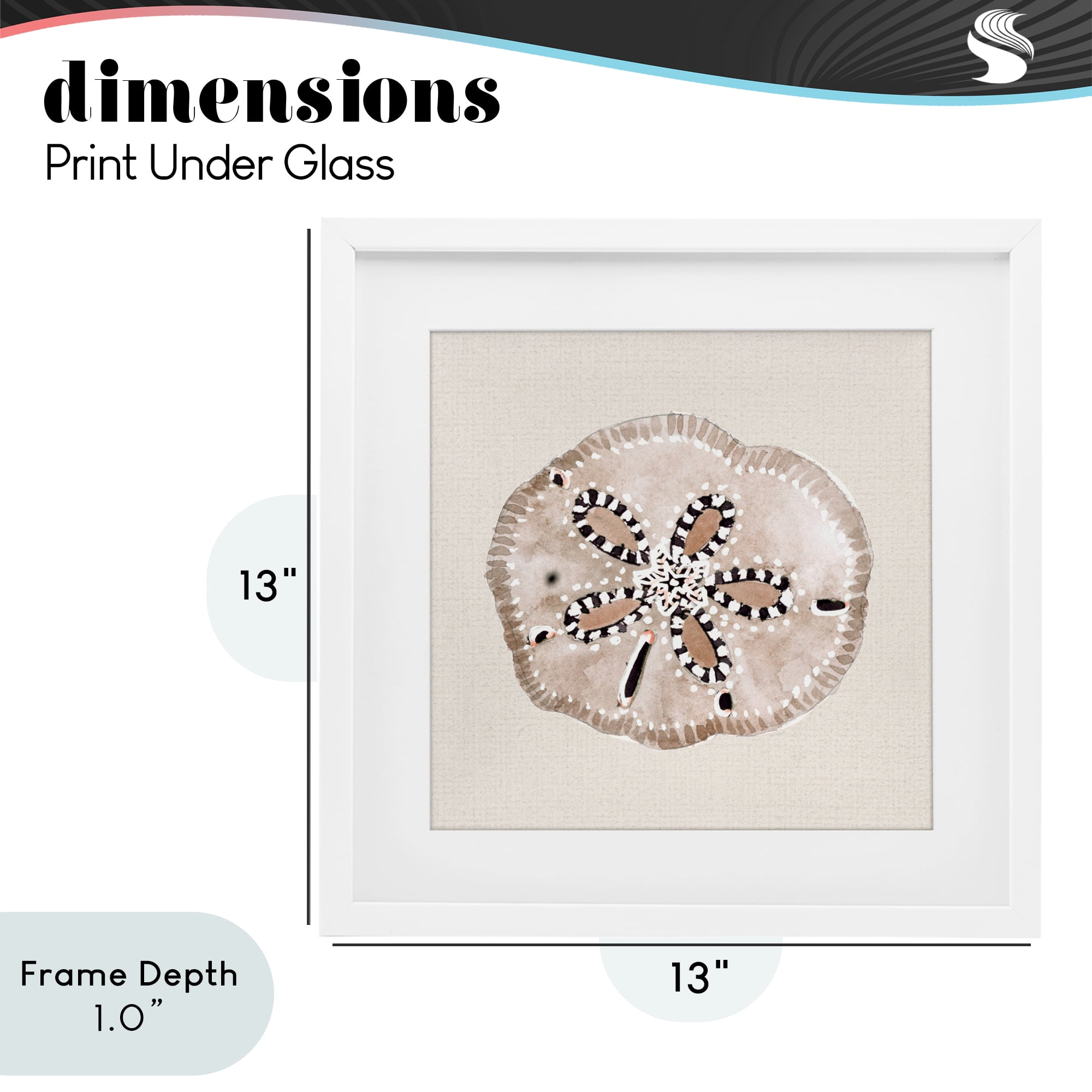 Stupell Industries Taupe & Beige Sand Dollar White Framed Print Under Glass, design by Lanie Loreth