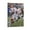 Frame-style, variant on Daniel Jones Canvas Poster Wall Art Picture Painting Poster Canvas Print Posters Artworks Bedroom Living Room Decor 24x36inch(60x90cm)