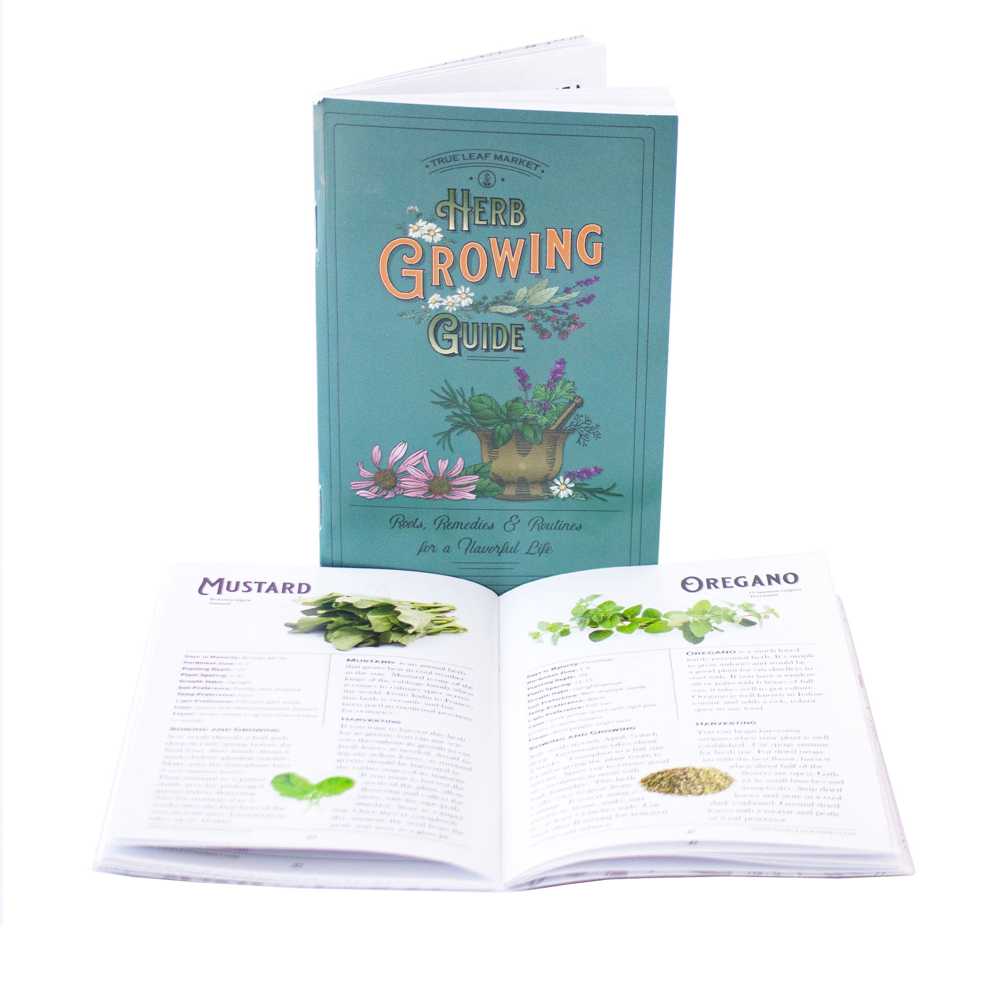 Sustainable Seed Culinary Herb Seeds Collection w/ Coco Coir Pellets and Growing Guide – 10 Non-GMO Heirloom Varieties: Basil, Thyme, Rosemary, Oregano, Lavender, Sage, Cilantro, Chives, and Dill