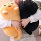 thumbnail image 4 of 35CM Juguetes de peluche de dibujos animados, juguetes para niños, sofá, almohada, cojín, juguetes de algodón, 4 of 5