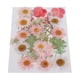 thumbnail image 1 of 25 Piezas Mezcladas Múltiples Flores Prensadas Flores Secas Prensadas Reales Flores Secas Naturales DIY Resina Joyería Arte Decoraciones Florales - C C Soledad Flores secas prensadas naturales, 1 of 10