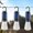 3pcs, variant on Rechargeable Solar Camping Lights, Portable Camping Lantern - 3 Mode LED Tent Light with Clip Hook, Waterproof Outdoor Hanging Bulb for Camping, Hiking, Emergencies & Holiday Decor (3pcs)