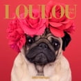 thumbnail image 1 of Loulou the Pug, 1 of 1