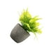 thumbnail image 5 of Inteprter Decoración artificial elegante de la planta en conserva fácil limpiar el árbol artificial del dinero en pote respetuoso del medio Type3 NO3, 5 of 6