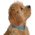 thumbnail image 4 of Bucklebone Dog Collar Design, Flanno Turquoise, Large 25mm, 4 of 4