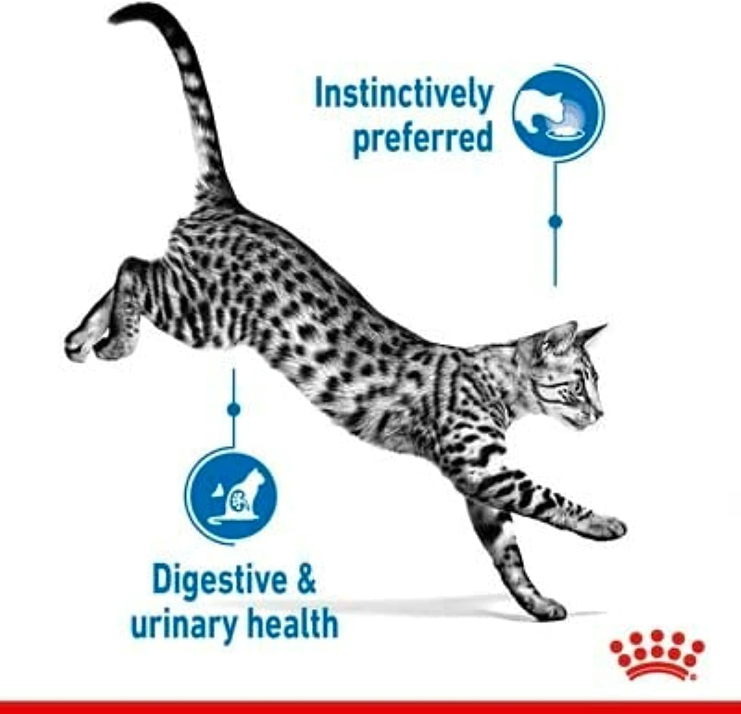 Royal Canin Sterilised Cat Wet Food in Gravy 12x85g