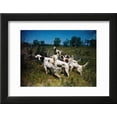 thumbnail image 2 of Hunting Dogs on Point Framed Print Wall Art Sold by Art.Com, 2 of 5