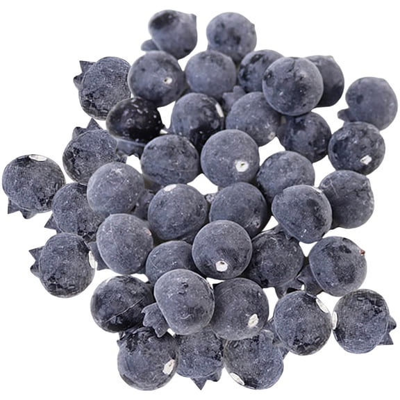 ELAYARD 60 Pcs Lifelike Artificial Blueberries Foam Fruit Decorations for Restaurant and Shop Window Display