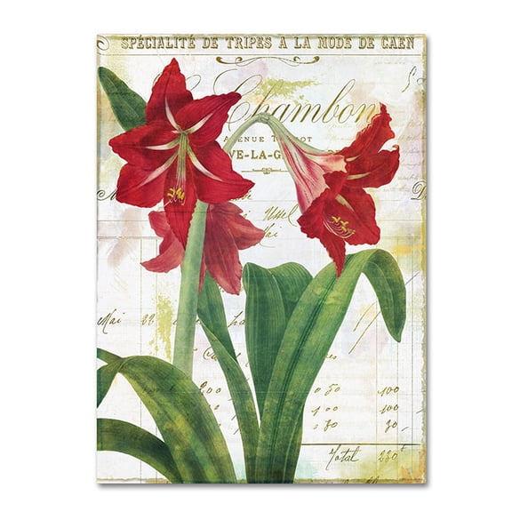 Trademark Fine Art "Peppermint Amaryllis" Canvas Art by Color Bakery