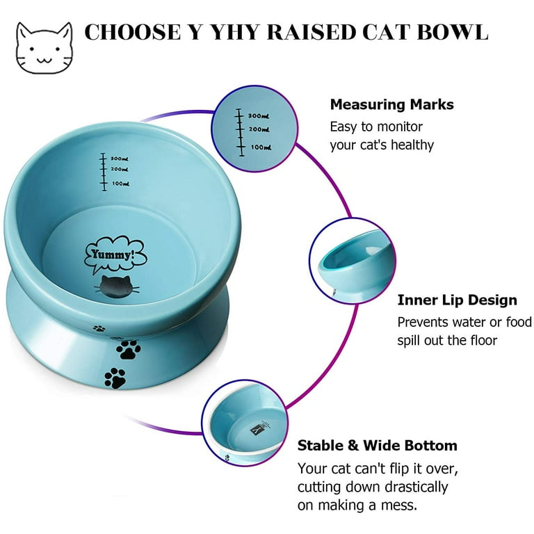 Cat flips water bowl top