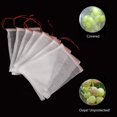 thumbnail image 3 of 50 bolsas de protección para frutas, insectos, mosquitos, insectos, red, barrera, bolsa_ kaili Sencillez, 3 of 4