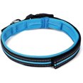 thumbnail image 1 of ORUYROP Collier Réfléchissant pour Chien, Simple et Applicable, 1 of 6