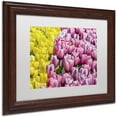 thumbnail image 2 of Trademark Fine Art "Tulip Heaven" Canvas Art by Kurt Shaffer, White Matte, Wood Frame, 2 of 4