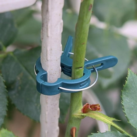 

40PCS Reusable Plant Clips Gardening Clips Supporting Stems Stalks And Vines Plants Flower Garden Tool ECHENOR