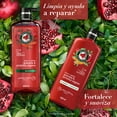 thumbnail image 5 of Shampoo Herbal Essences Pelo Largo Granada & Proteína Vegana 600 ml, 5 of 5