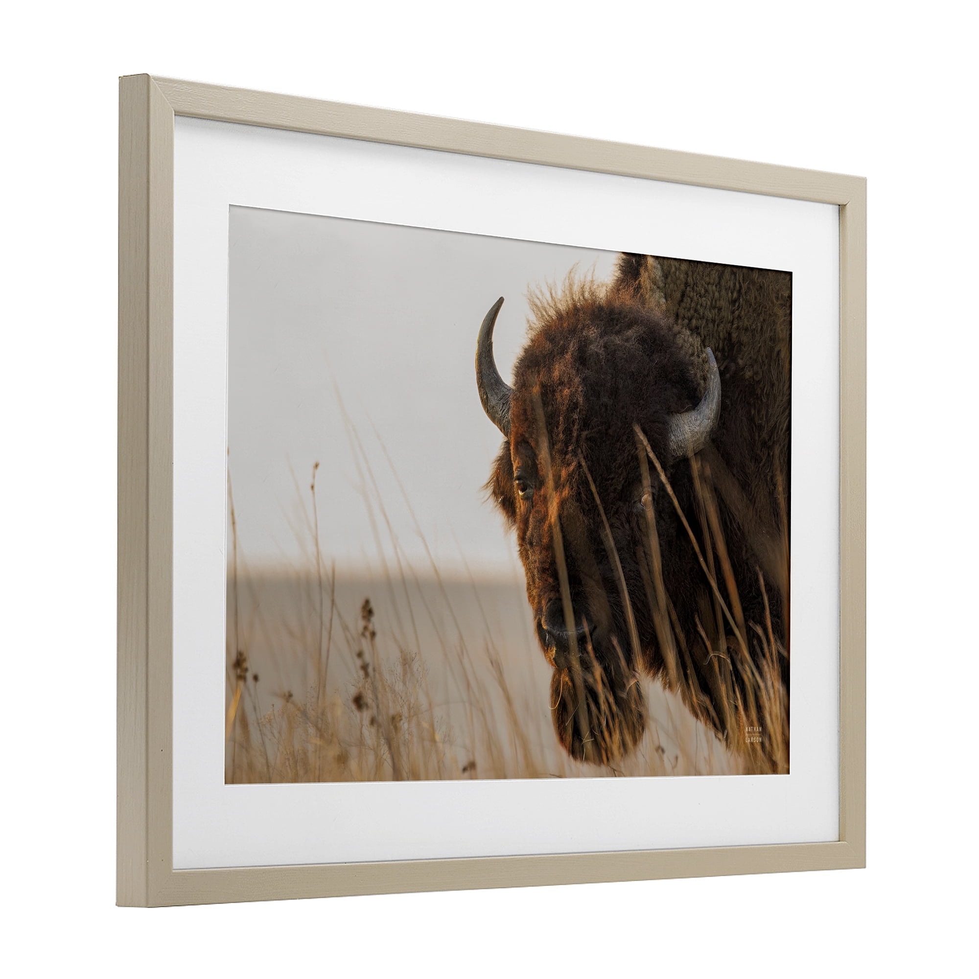 Stupell Industries Bison Sunset on Golden Prairie Birch Framed Print Under Glass, design by Nathan Larson