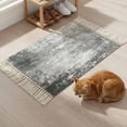 thumbnail image 5 of Area Rug with Tassels 2' x 3', Retro Gray Shabby Texture Kitchen Runner Rug for Hallway Bedroom Throw Rugs, Vintage Farm Abstract Art Soft Door Mat for Bathroom Entrance Living Room, 5 of 9