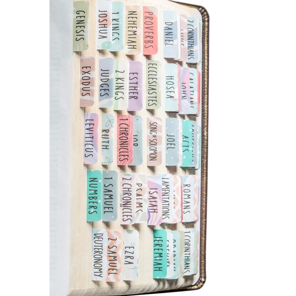 Bible Tabs DIVERSEBEE, impresión grande laminada, 66 libros, 18 en blanco