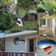 thumbnail image 2 of Teissuly Great White Shark Garden Art Statue, Lifelike Hand-Painted Carve Decoration to Gardens and Swimming Pools, Truly Unique Gift for Indoor or Outdoor Teissuly WER202309200894, 2 of 9