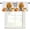 Orange, variant on Fall Thanksgiving Kitchen Valances for Windows, White Orange Pumpkin Leaf Flower Autumn Bathroom Window Valances 42x12 Inch Rod Pocket Window Treatments Valance Curtains for Living Room Bedroom Decor