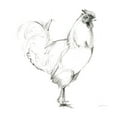 thumbnail image 2 of Gango Home Decor Shabby-Chic Rooster & Cow; Two 12x12in Art Prints in White Frames, 2 of 5
