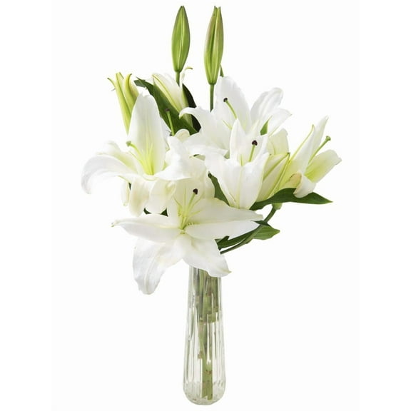 KaBloom : White Lilies with Vase, Next-Day Delivery, Gift for Every Occasion.