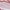 Pink, variant on Avia Women’s PR4790 Performance Running Sneakers