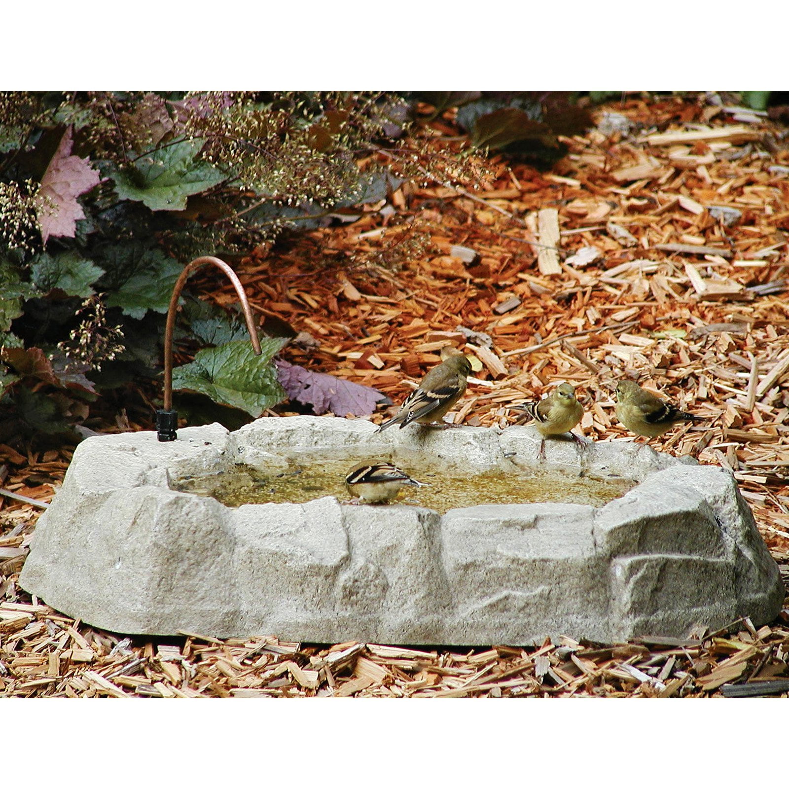 Backyard Nature Products Rocky Mountain Ground Birdbath by Backyard Nature Products Inc