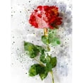thumbnail image 2 of Young, Chamira 12x14 White Modern Wood Framed Museum Art Print Titled - Rose in Bloom, 2 of 4