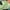 Black Green, variant on MODA NOVA Juniors' Size Cargo Hawaiian Tropical Outfits Floral Elastic Waist Jogger  Pants with Pockets